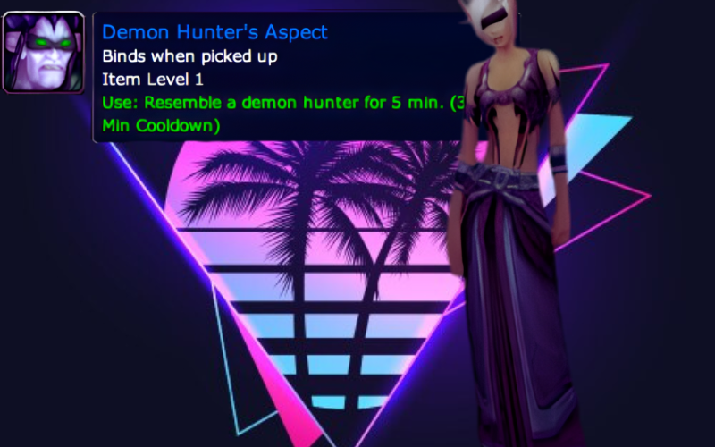 Demon Hunter's Aspect