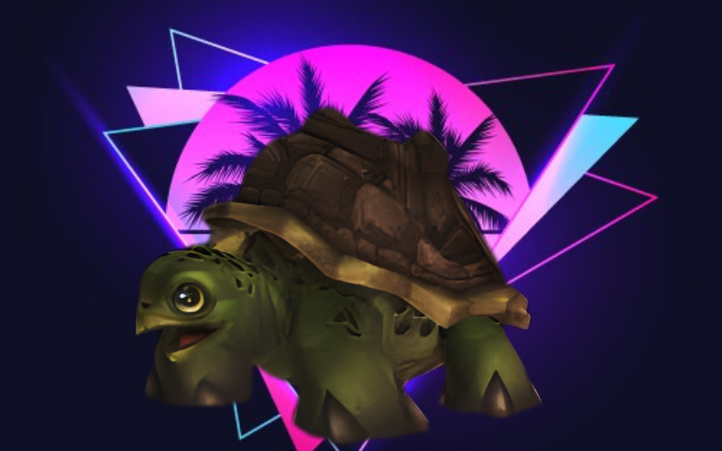 Riding Turtle