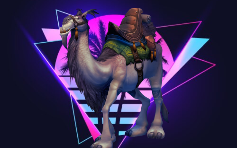 White Riding Camel